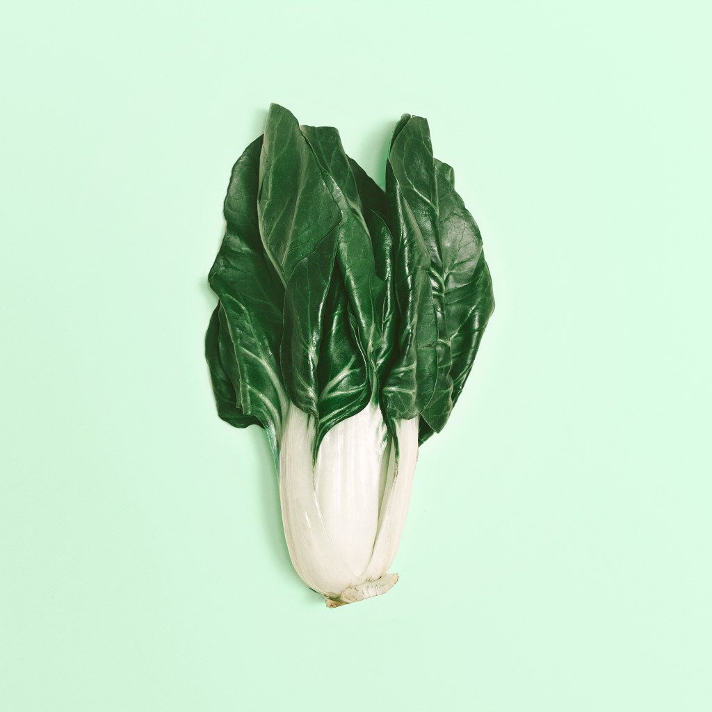 Autumn Newsletter & Clinic&nbsp;Updates