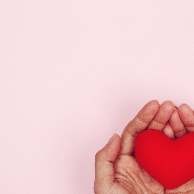 NEWS: Women’s health workshop series 2019 “Herbal Medicine and Nutrition for Midwives and Birth Practitioners”