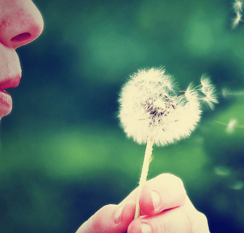 NEWS: Women’s health workshop series 2019 “Hormones, Fertility and Preconception”