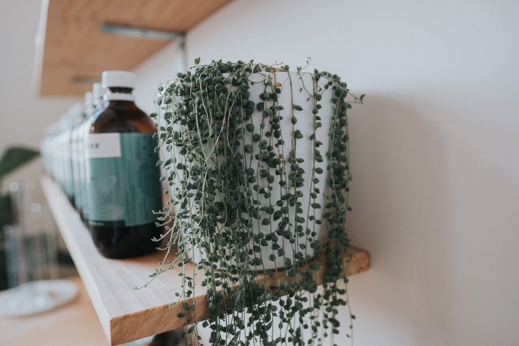 Workshop 2020 dates: Herbal Medicine and Nutrition for Midwives and Birth&nbsp;Practitioners